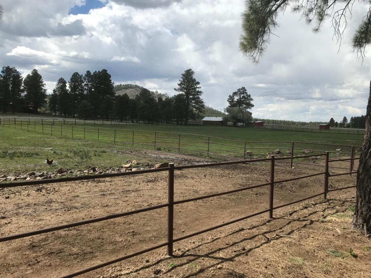 Grand Canyon Cottage At Historic Wrigley Ranch With Horseback Riding & Shooting Parks Εξωτερικό φωτογραφία